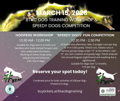 Introducing 'SPEEDY DOGS'!!