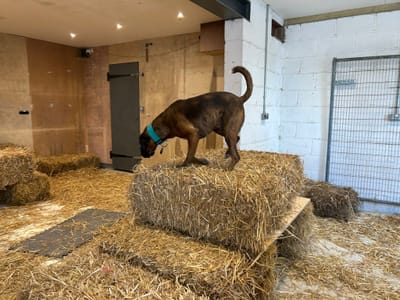 BARN HUNTS 24th May 9.30am and 12.15pm