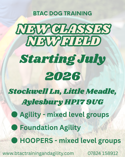 NEW CLASSES IN LITTLE MEADLE, BUCKS.