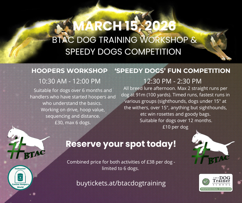 Speedy Dogs Fun Competition
