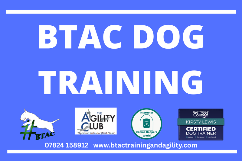 BTAC Barn Hunt Workshop - multi level group