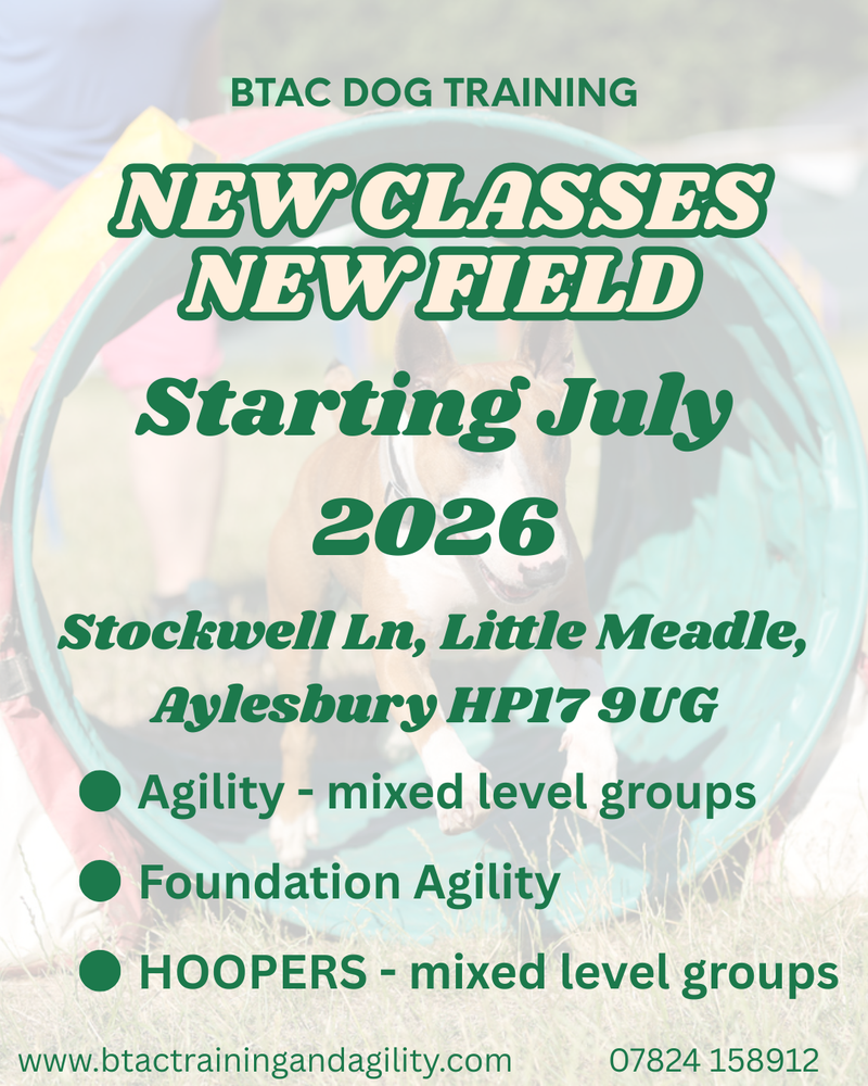 NEW CLASSES IN LITTLE MEADLE, BUCKS. - BTAC Dog Training