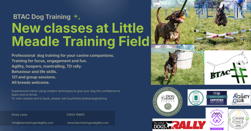 Agility Training