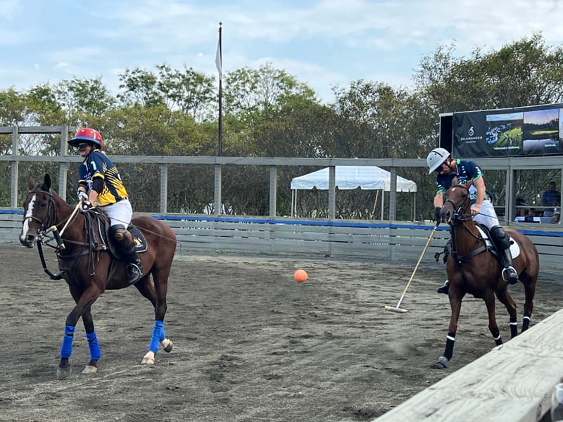 Dr.'s Williams-Nickelson, Nickelson and Hodges attended the Cloverleaf charity event to help raise funds to support the incredible work the center does to help children with special needs and veterans connect and heal.