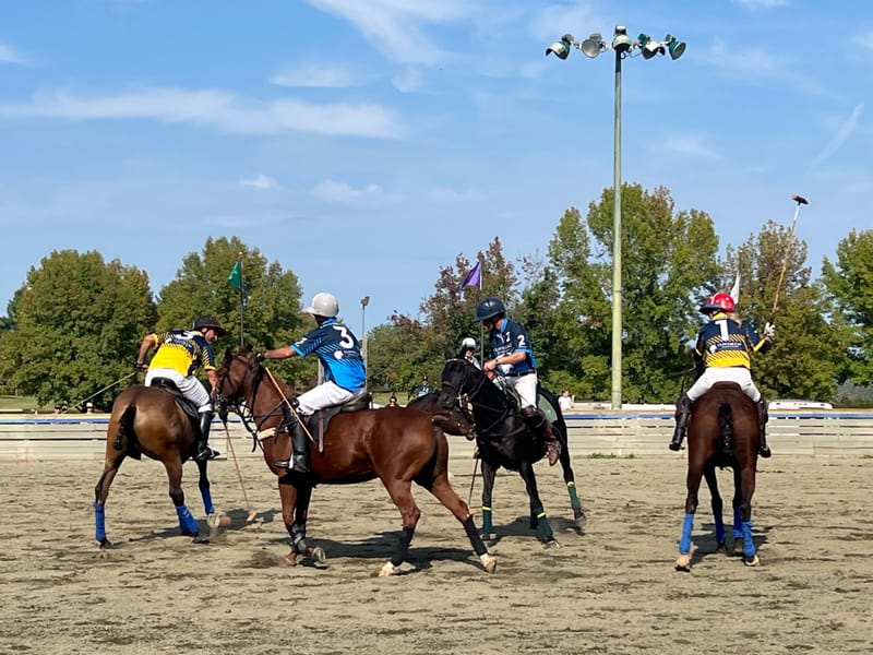 Dr.'s Williams-Nickelson, Nickelson and Hodges attended the Cloverleaf charity event to help raise funds to support the incredible work the center does to help children with special needs and veterans connect and heal.