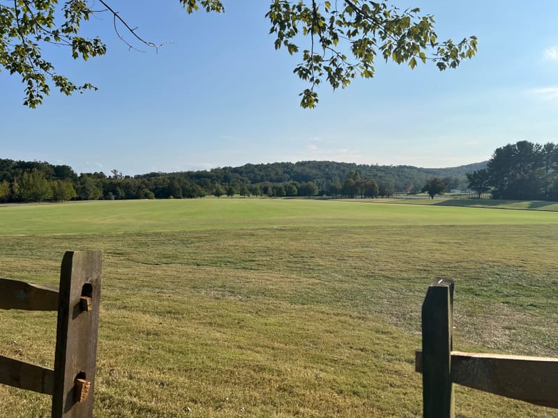 Dr.'s Williams-Nickelson, Nickelson and Hodges attended the Cloverleaf charity event to help raise funds to support the incredible work the center does to help children with special needs and veterans connect and heal.