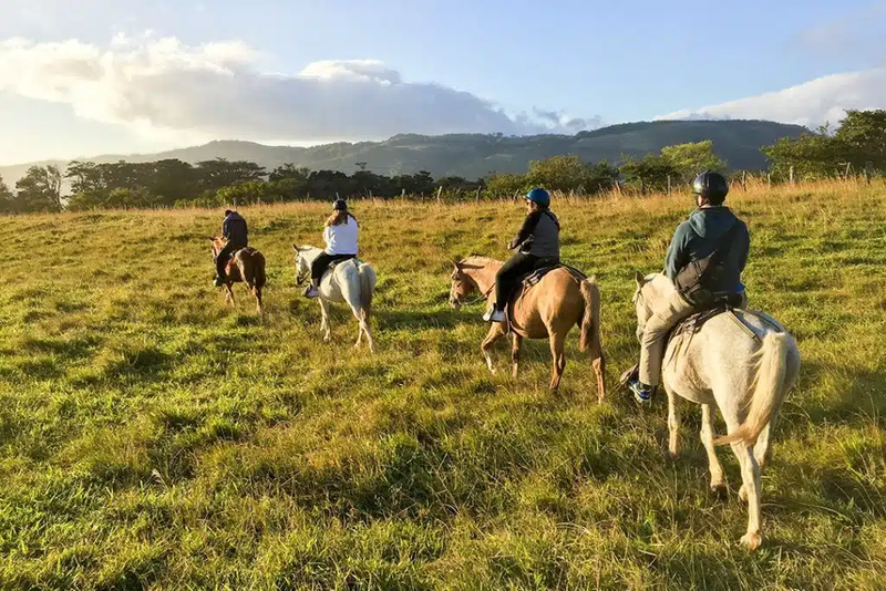 Horseback Riding Tour