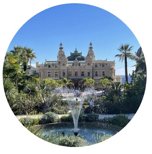 MonacoAVC is the Stroke Support Organisation in Monaco