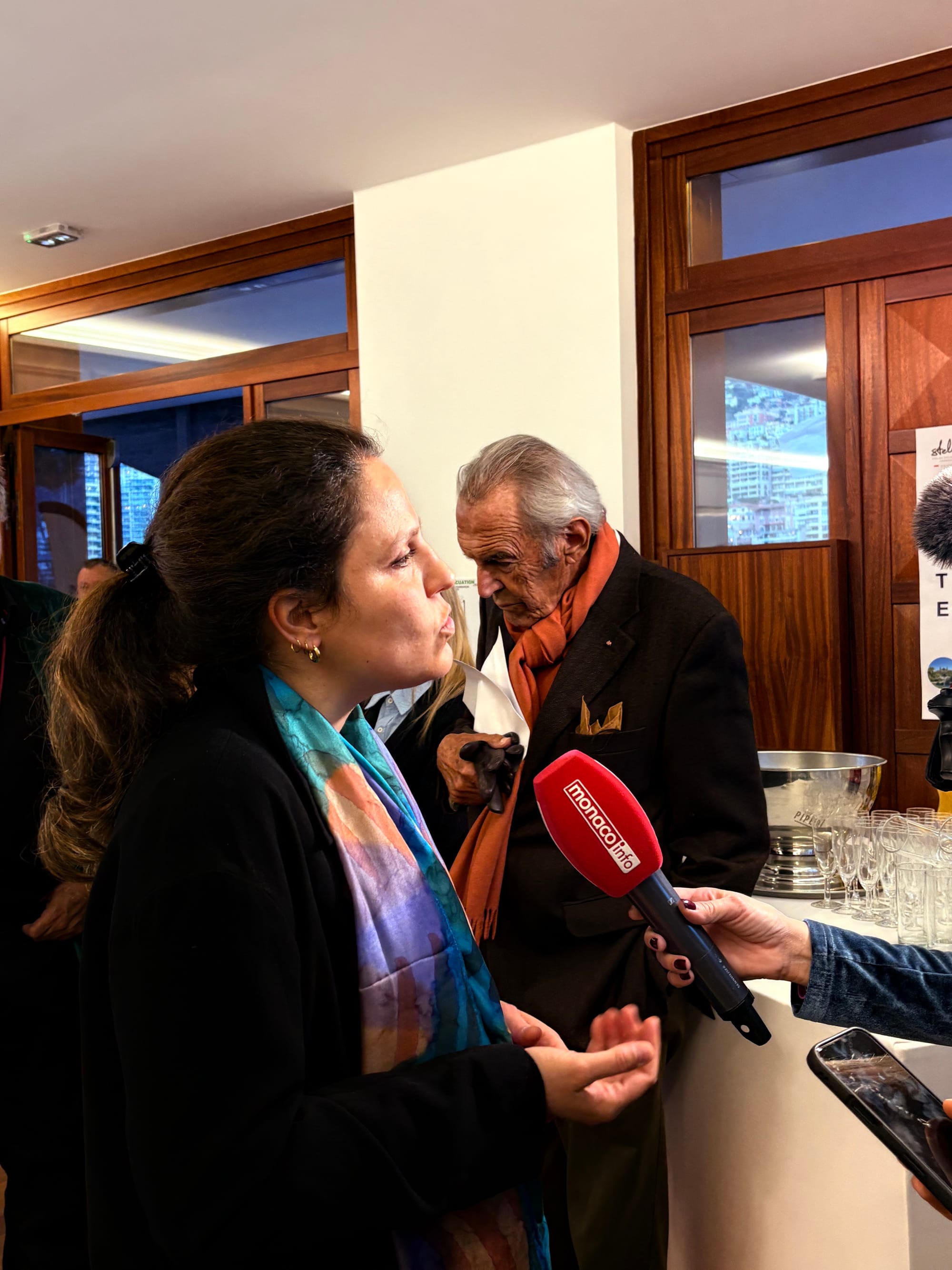 CHU Nice - Monaco's Stroke Center for acute stroke management