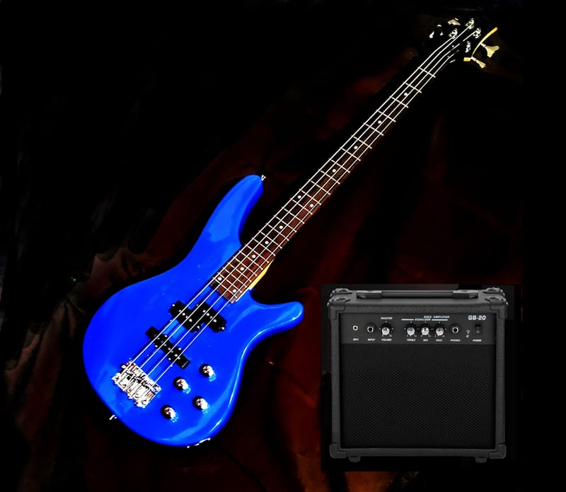 Sdgr Plus SDGR Basses plus Amp - Leo Blacks Music Shack