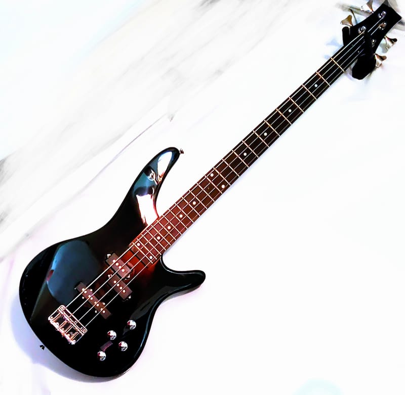 Sdgr Plus SDGR Basses plus Amp - Leo Blacks Music Shack