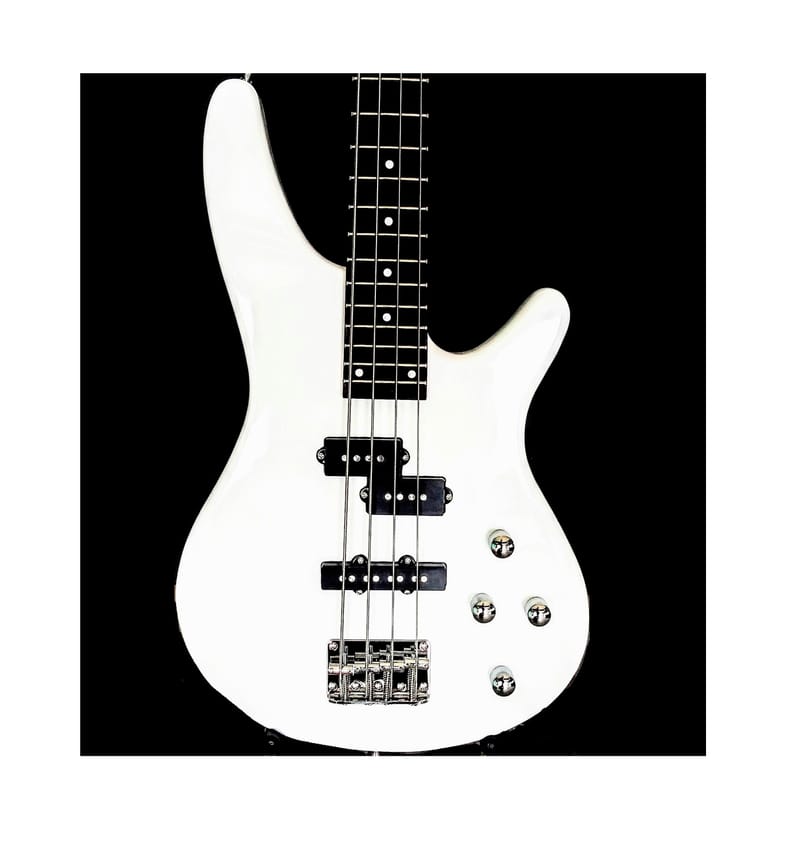 Sdgr Plus SDGR Basses plus Amp - Leo Blacks Music Shack