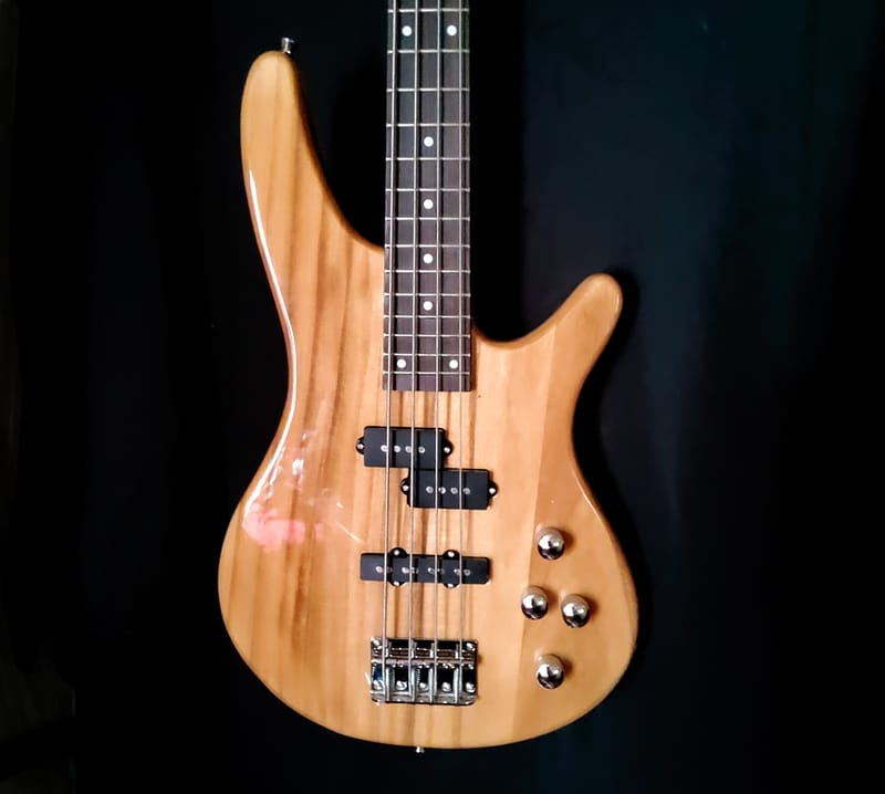 Sdgr Plus SDGR Basses plus Amp - Leo Blacks Music Shack