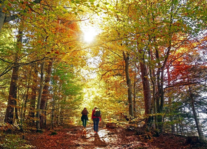 Herbstwanderung mit Einkehr