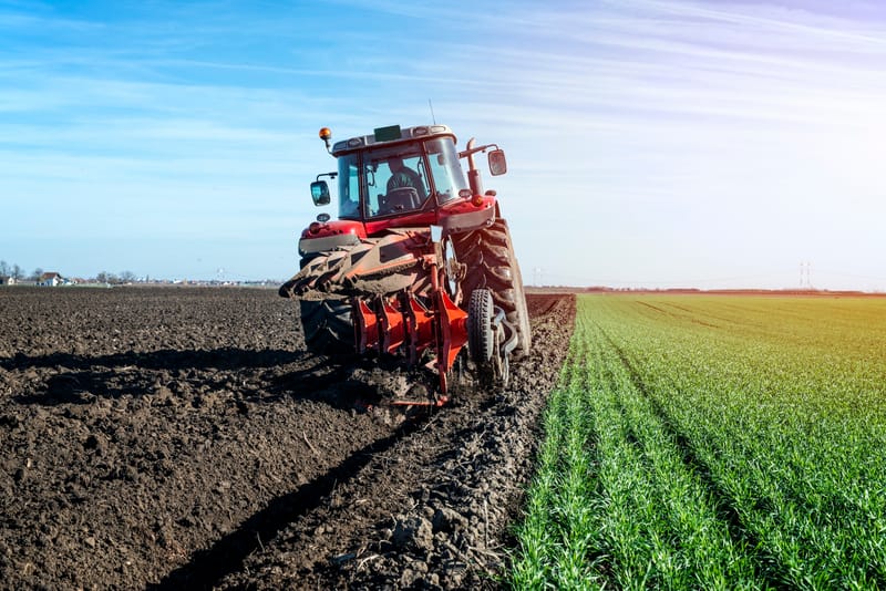 A Guide to AMMC’s Agricultural Services and Fertilizers in Saudi Arabia