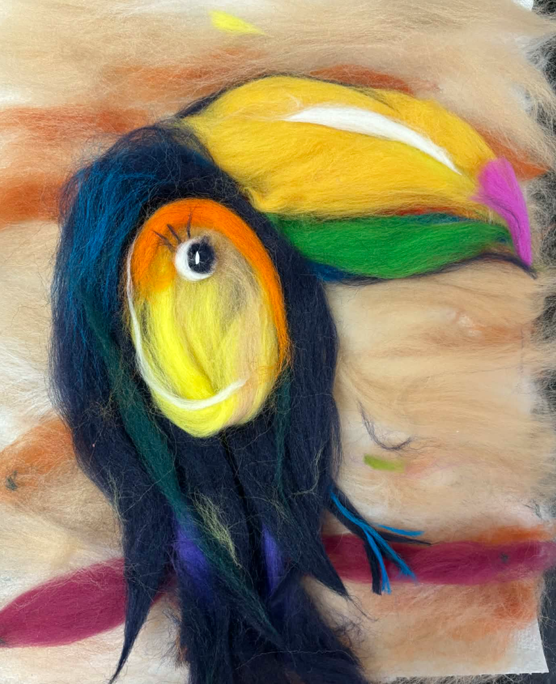 ШЕРСТЯНАЯ АКВАРЕЛЬ. Тукан.