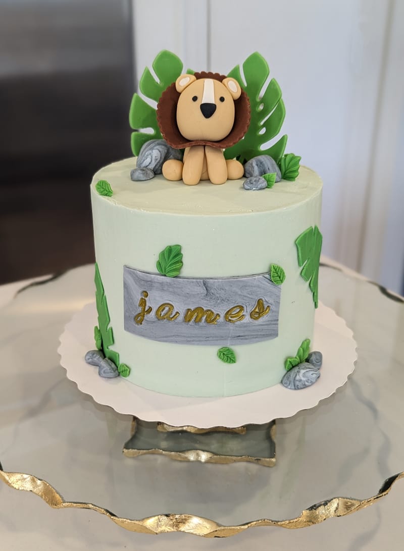Little Lion Smash Cake