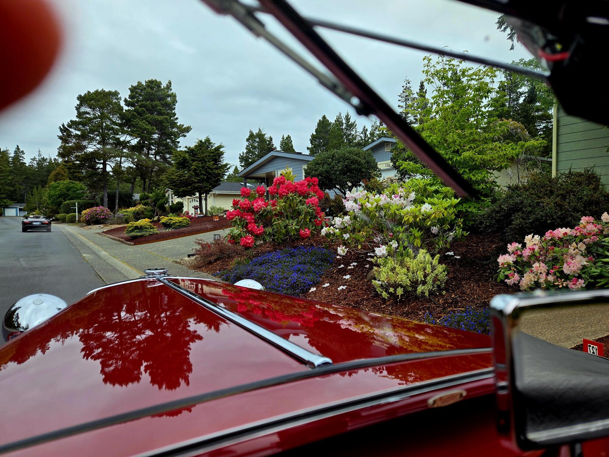 May 13, 2025 - Rhododendron Tour!