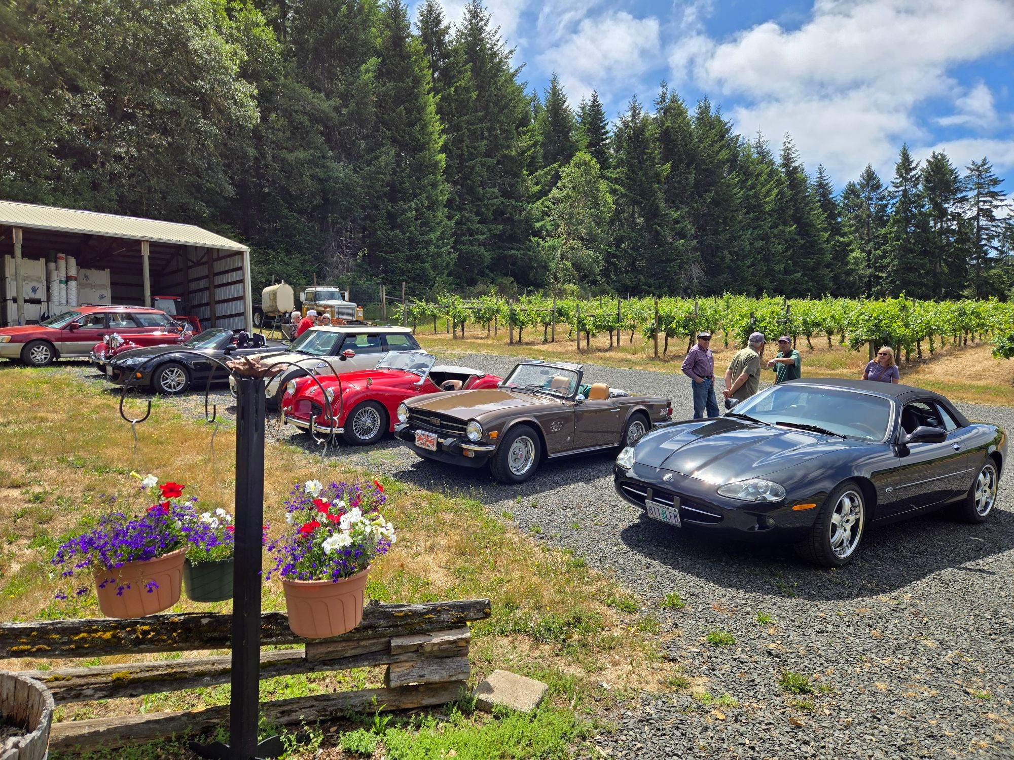 6/25/2025 - Picnic at Bradley Vineyards, Elkton.
