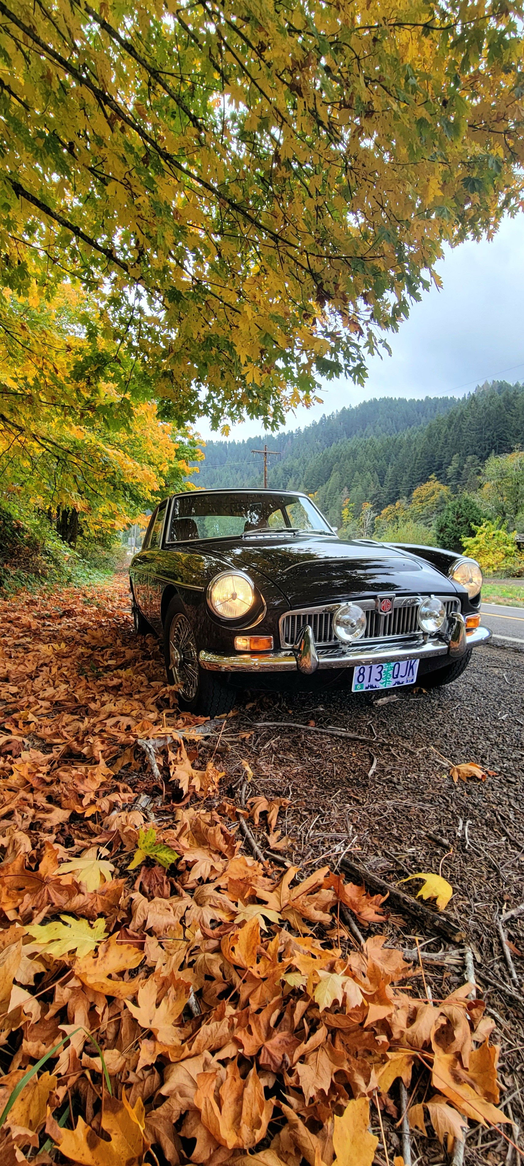 Fall Colours Tour, Oct 22, 2025