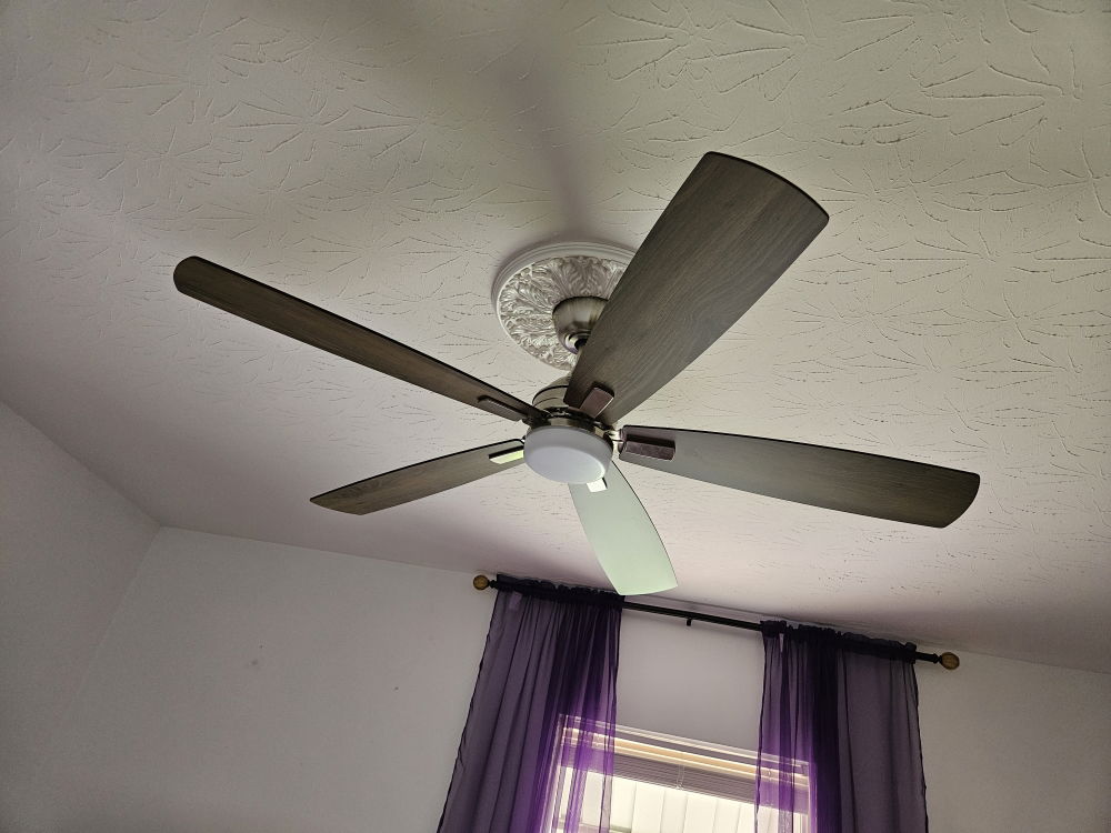 Ceiling Fan Replacement