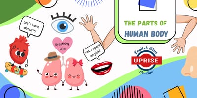 The Parts of Human Body