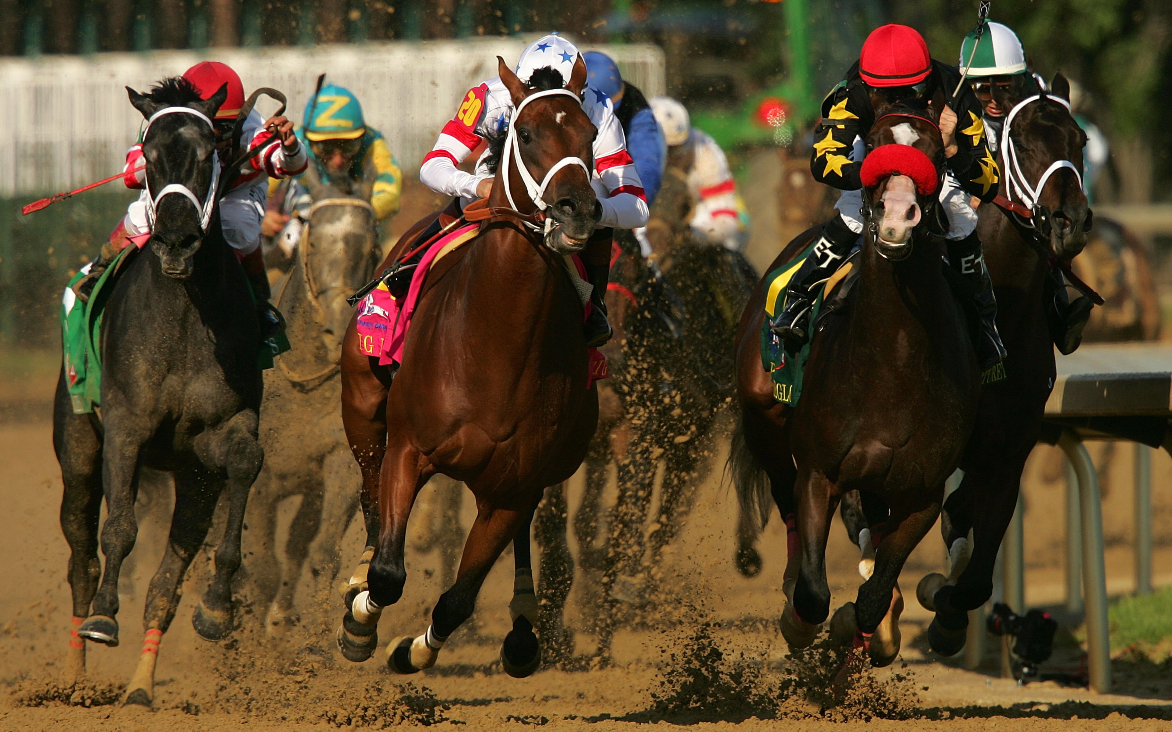 Buy A Racehorse Australia
