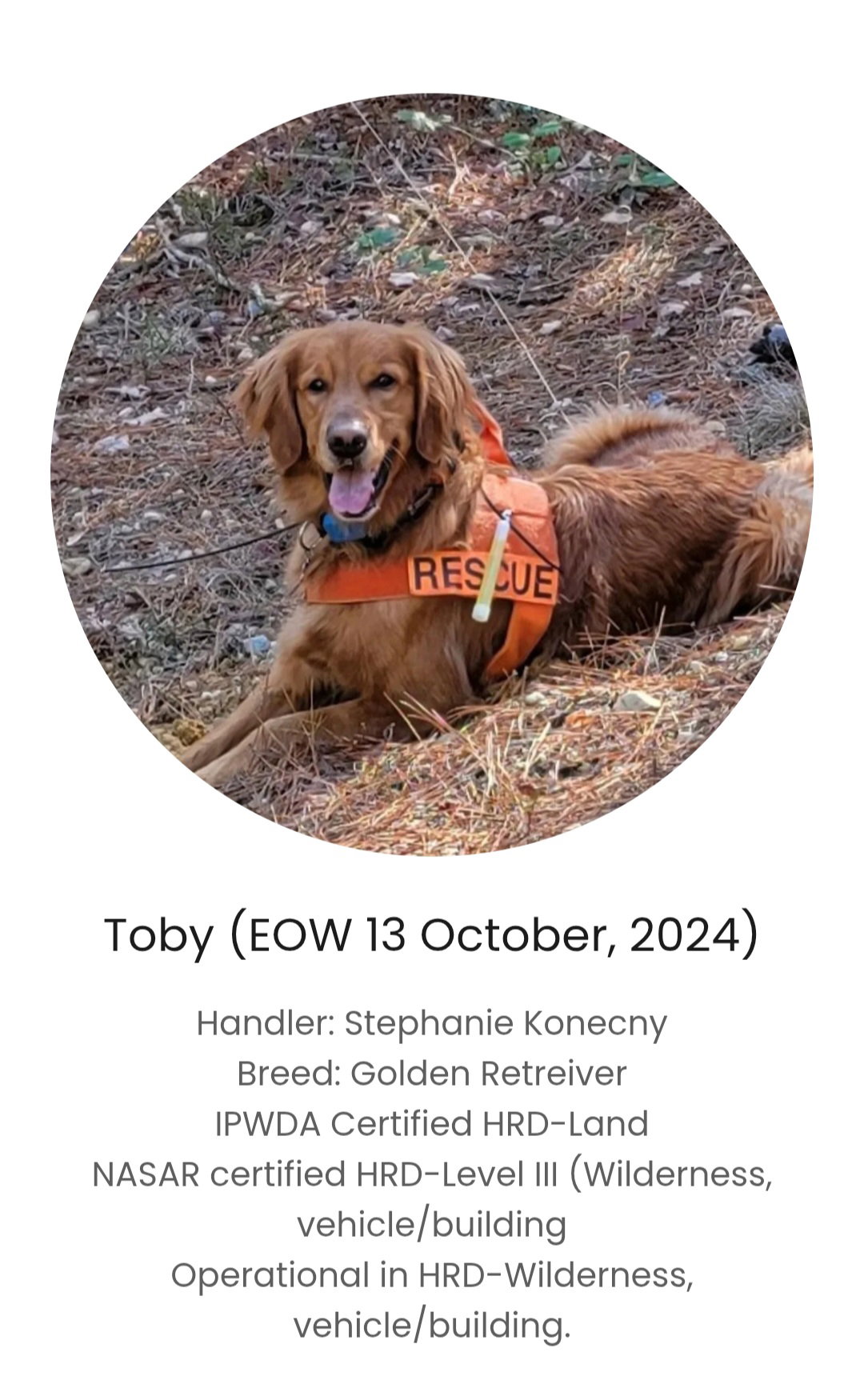 K9 Toby