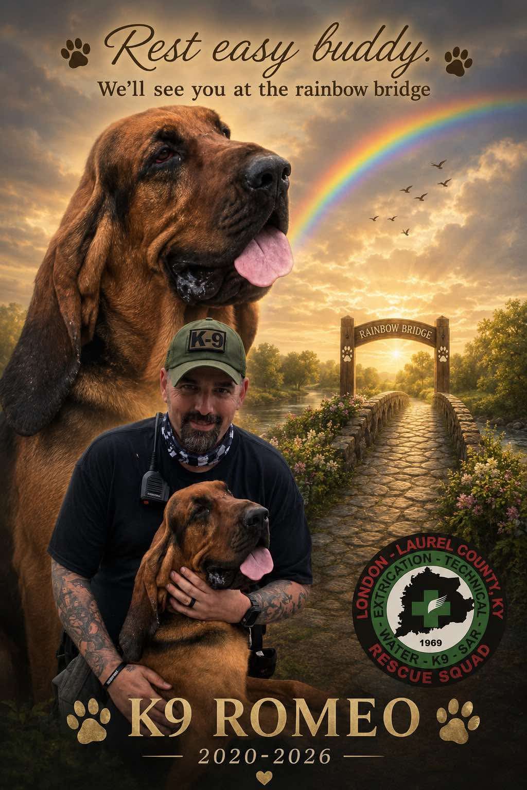 K9 Romeo