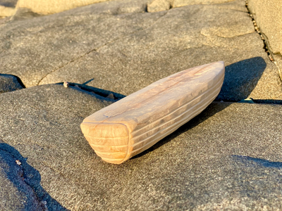 Några ord från tidigare NUR-deltagare