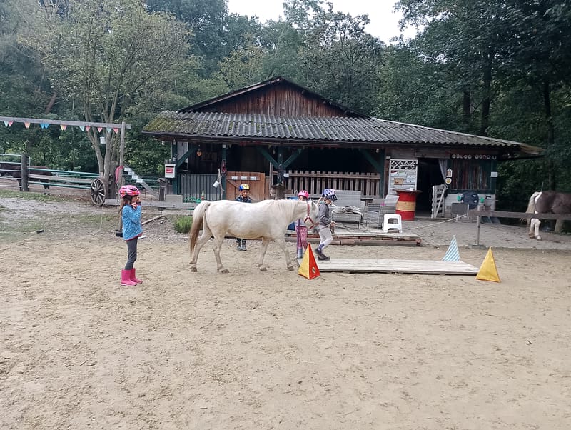 Für Kinder von 4-6 Jahren