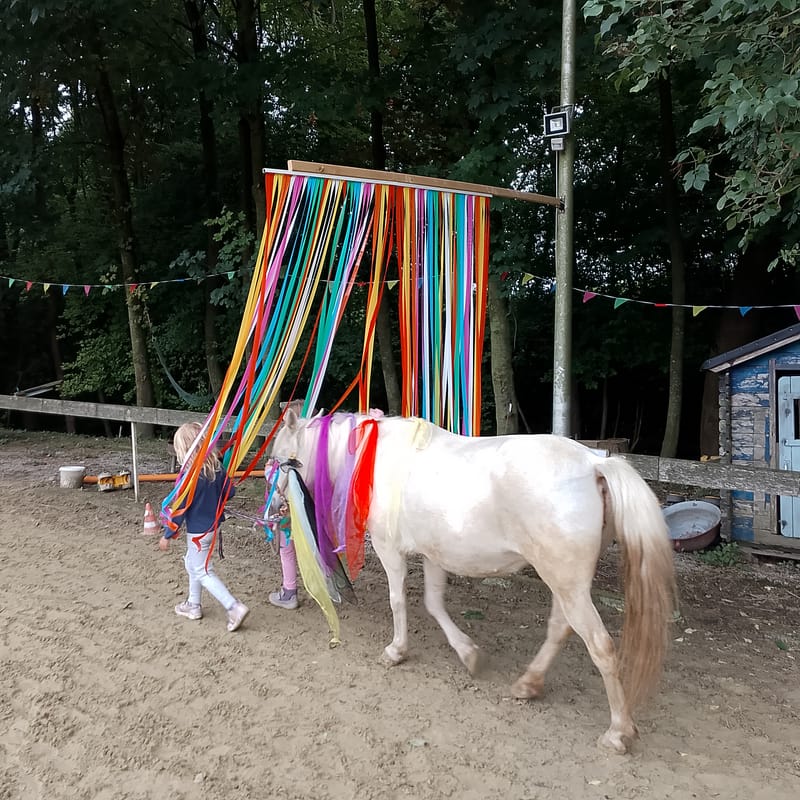 PonyZeit (4-6 Jahren)