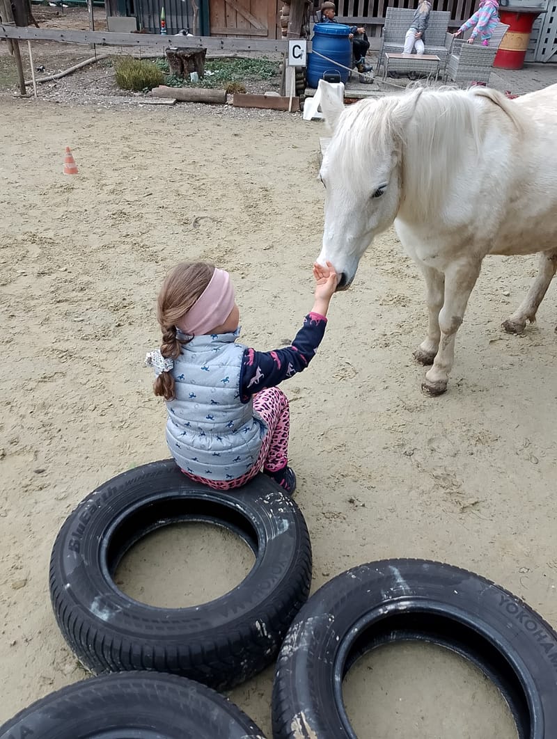 Kinder & Tiere