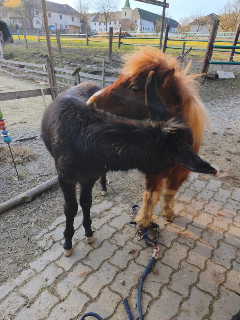 So läuft´s bei Aruna