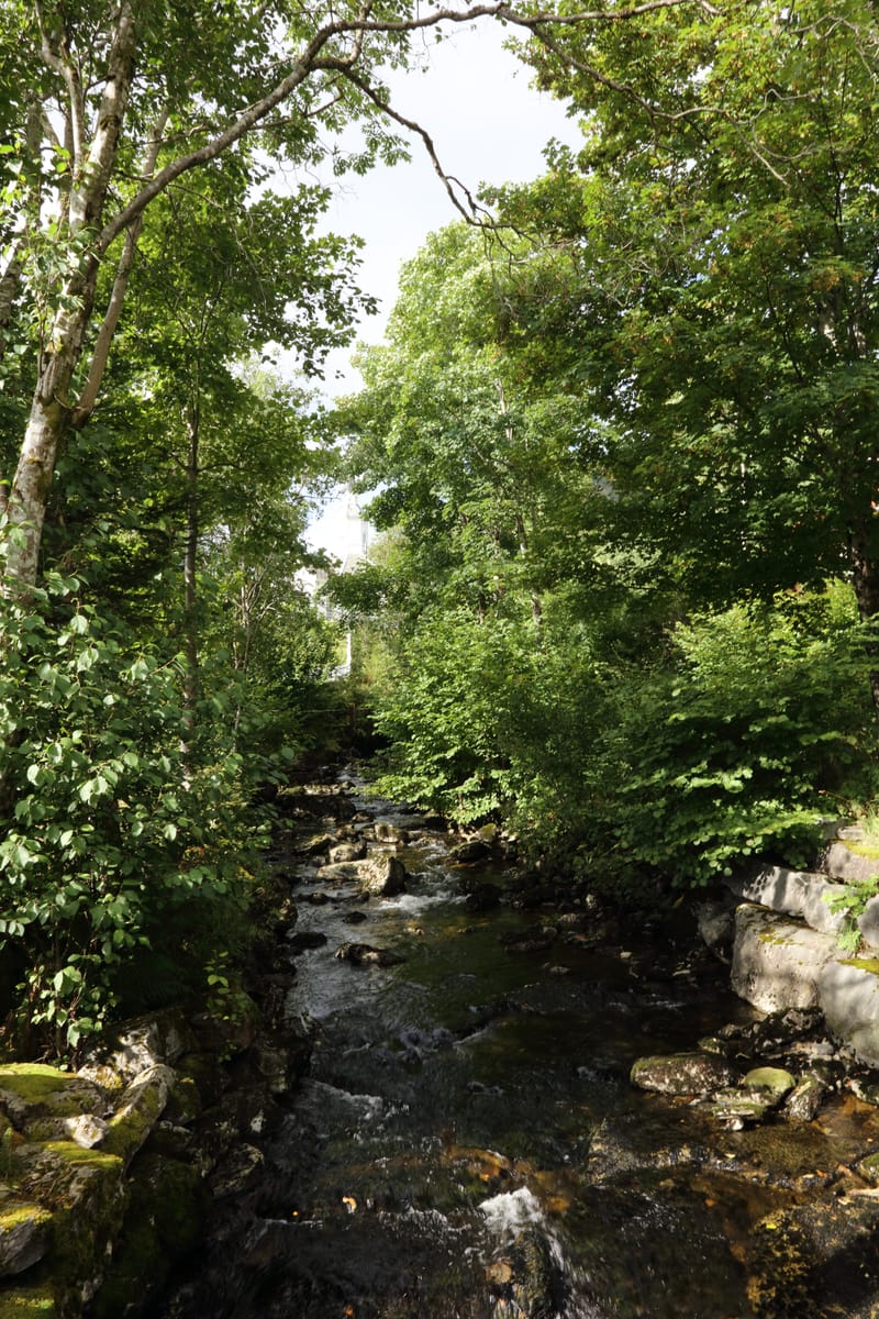 Wild.Frei.Echt.- das erlebst du hier: