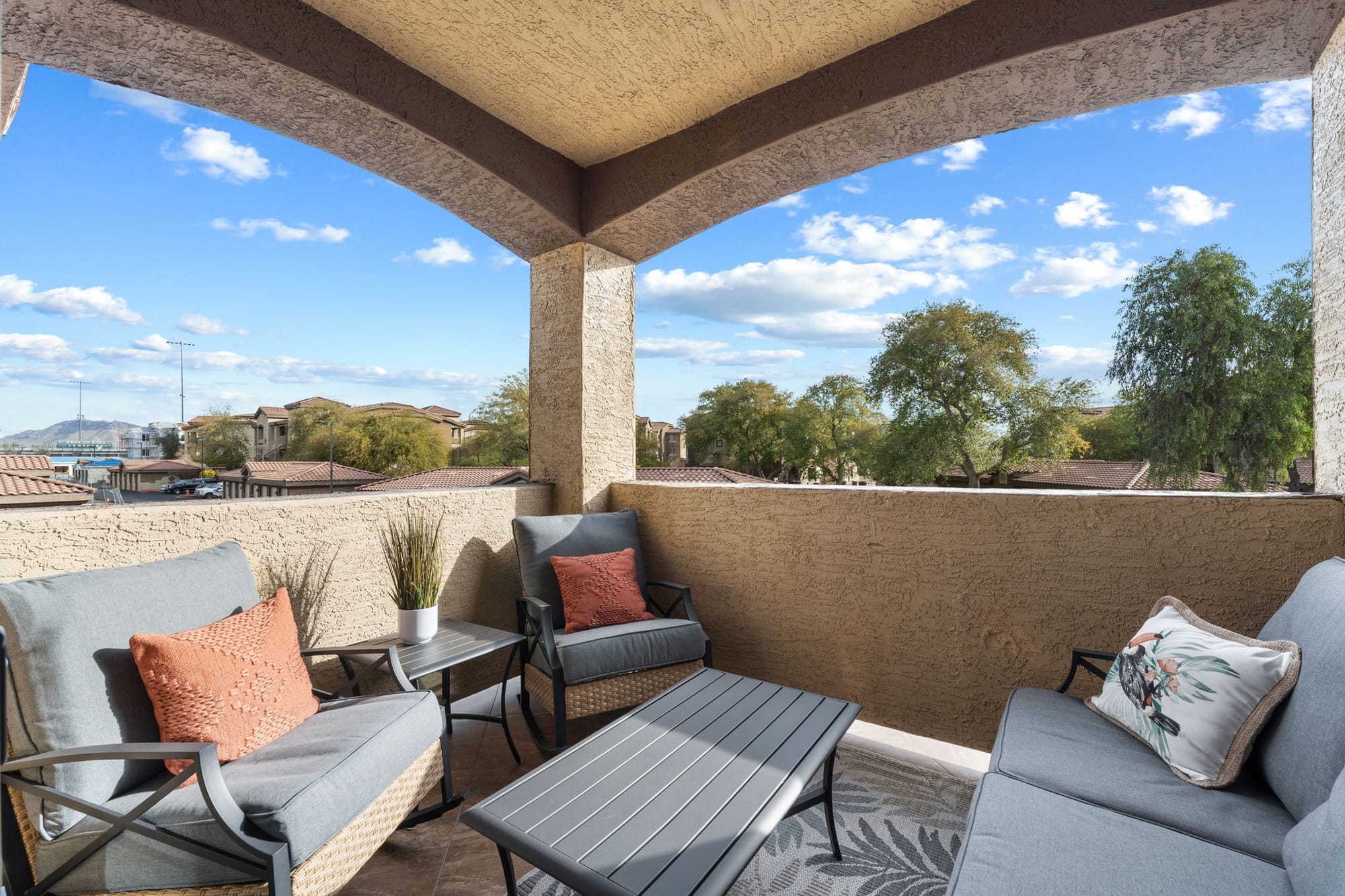 Coyote Cactus Escape