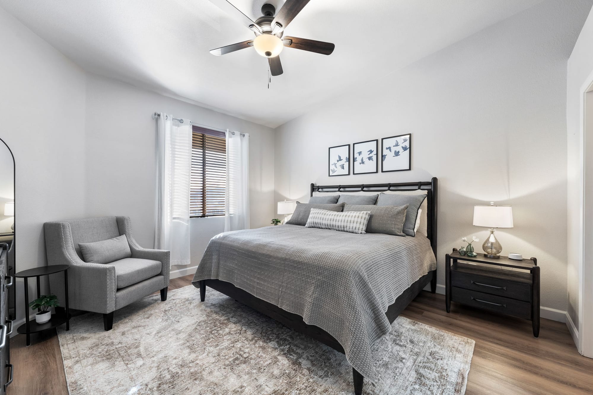 Coyote Cactus Escape