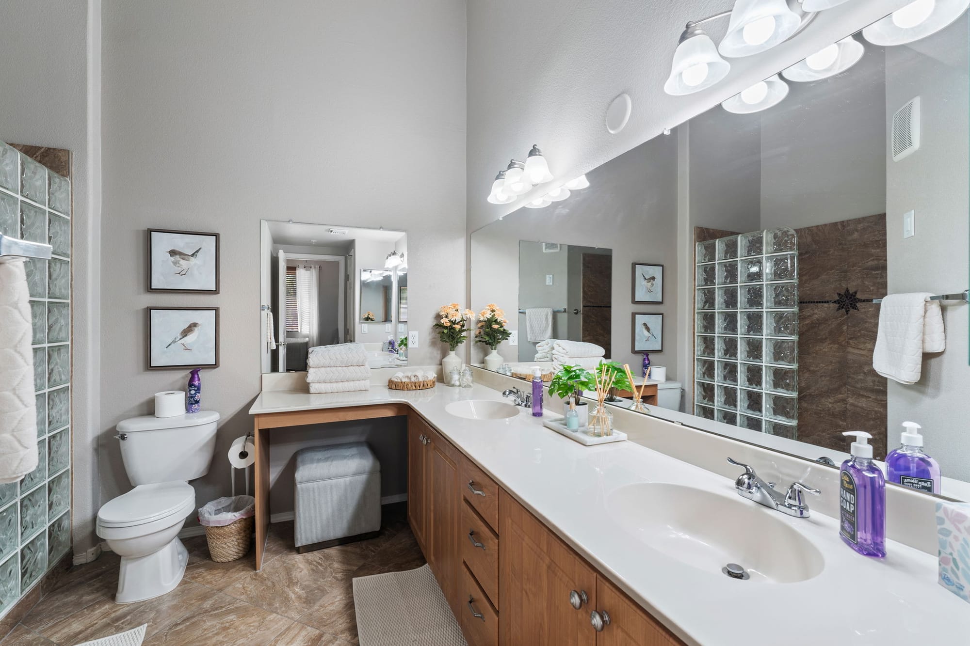 Coyote Cactus Escape