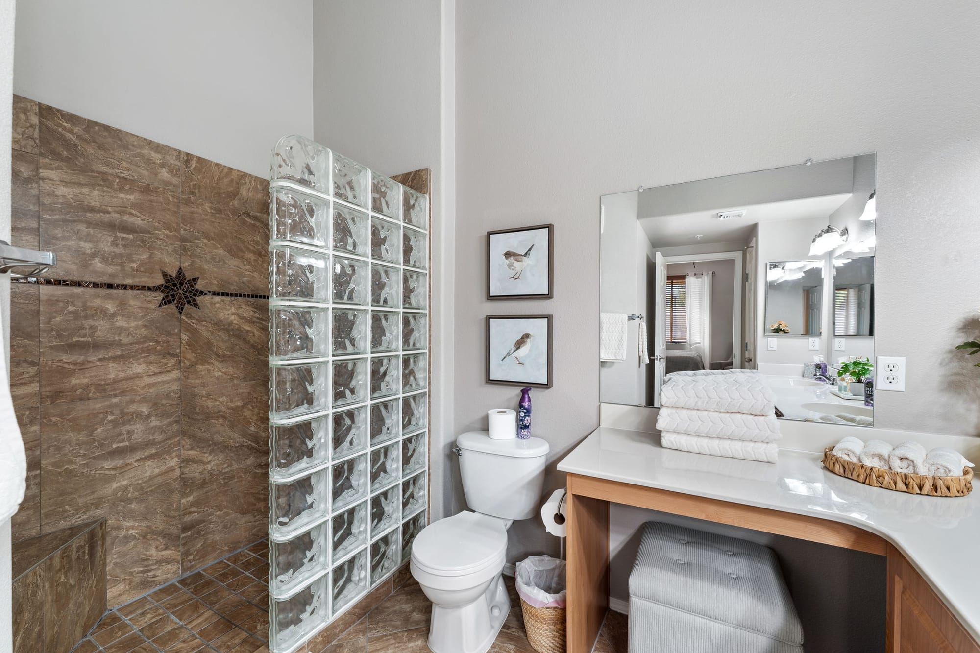 Coyote Cactus Escape