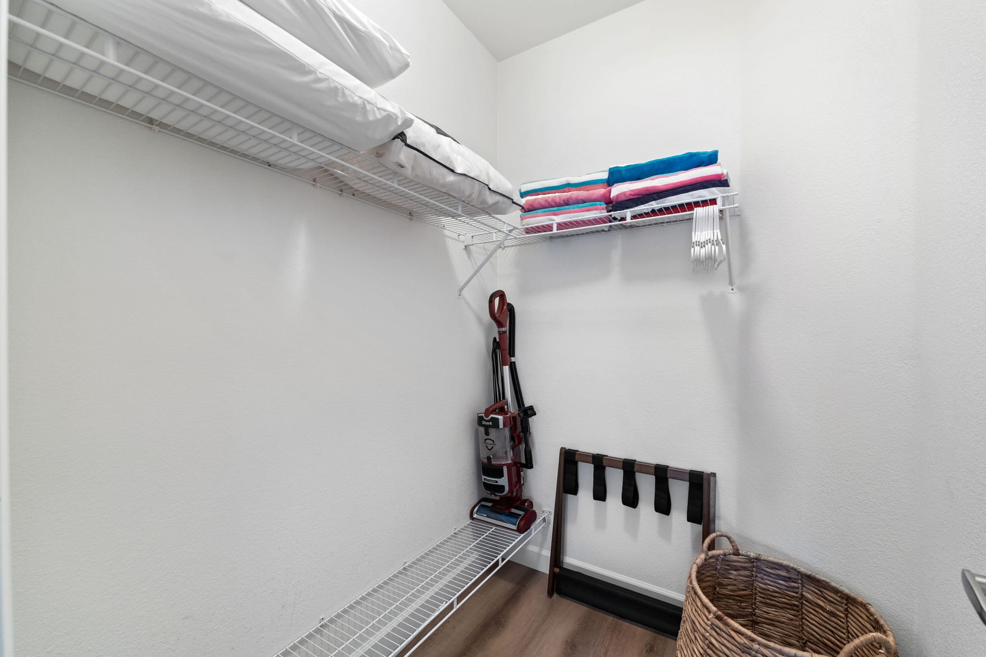 Coyote Cactus Escape