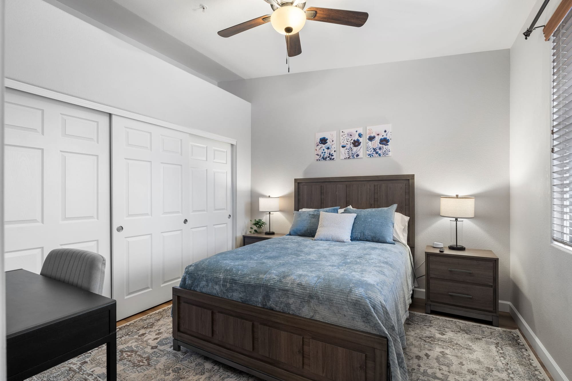 Coyote Cactus Escape