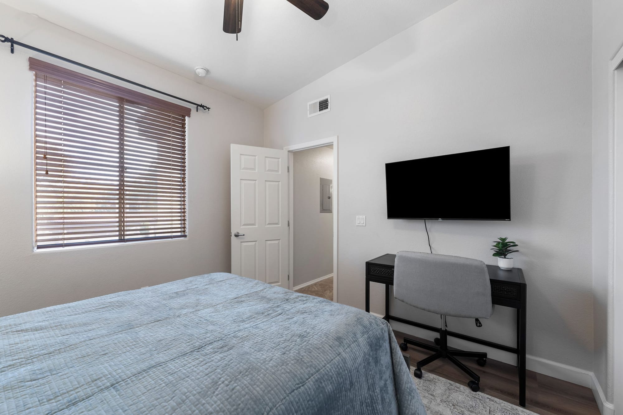 Coyote Cactus Escape