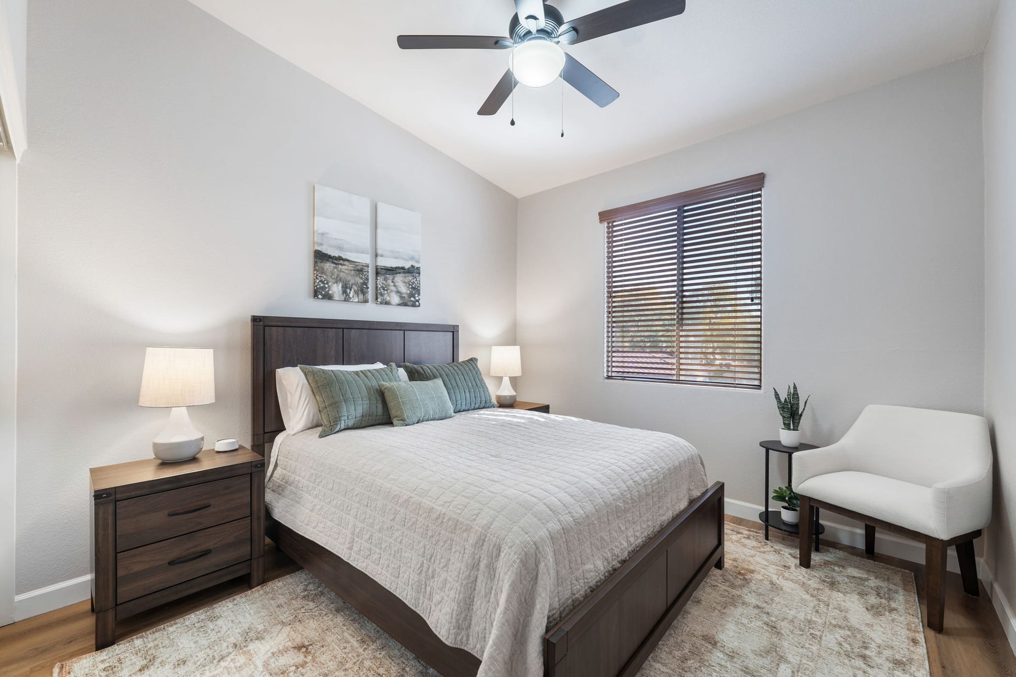 Coyote Cactus Escape