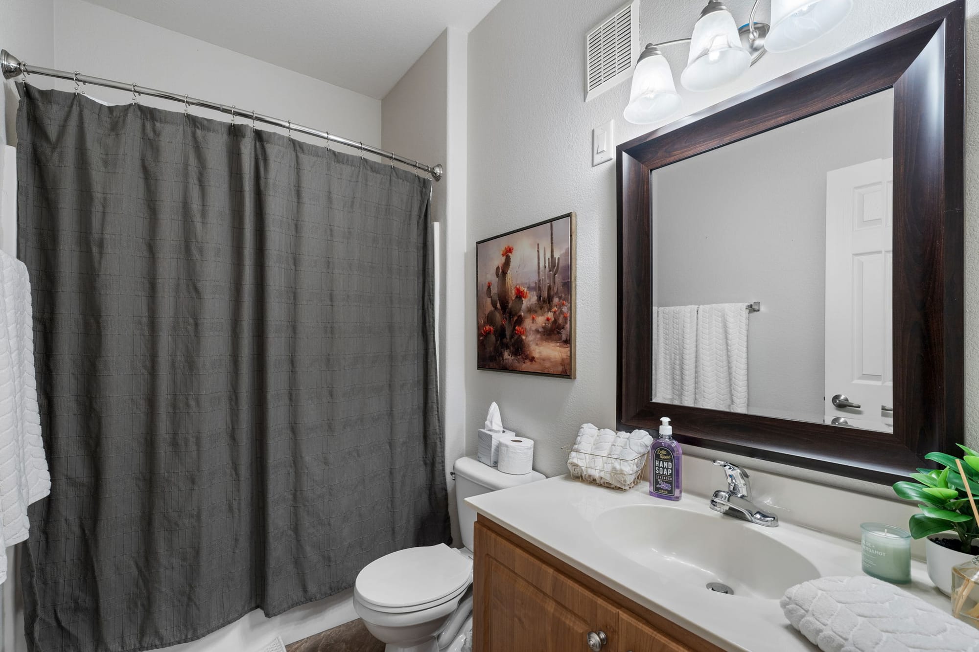 Coyote Cactus Escape