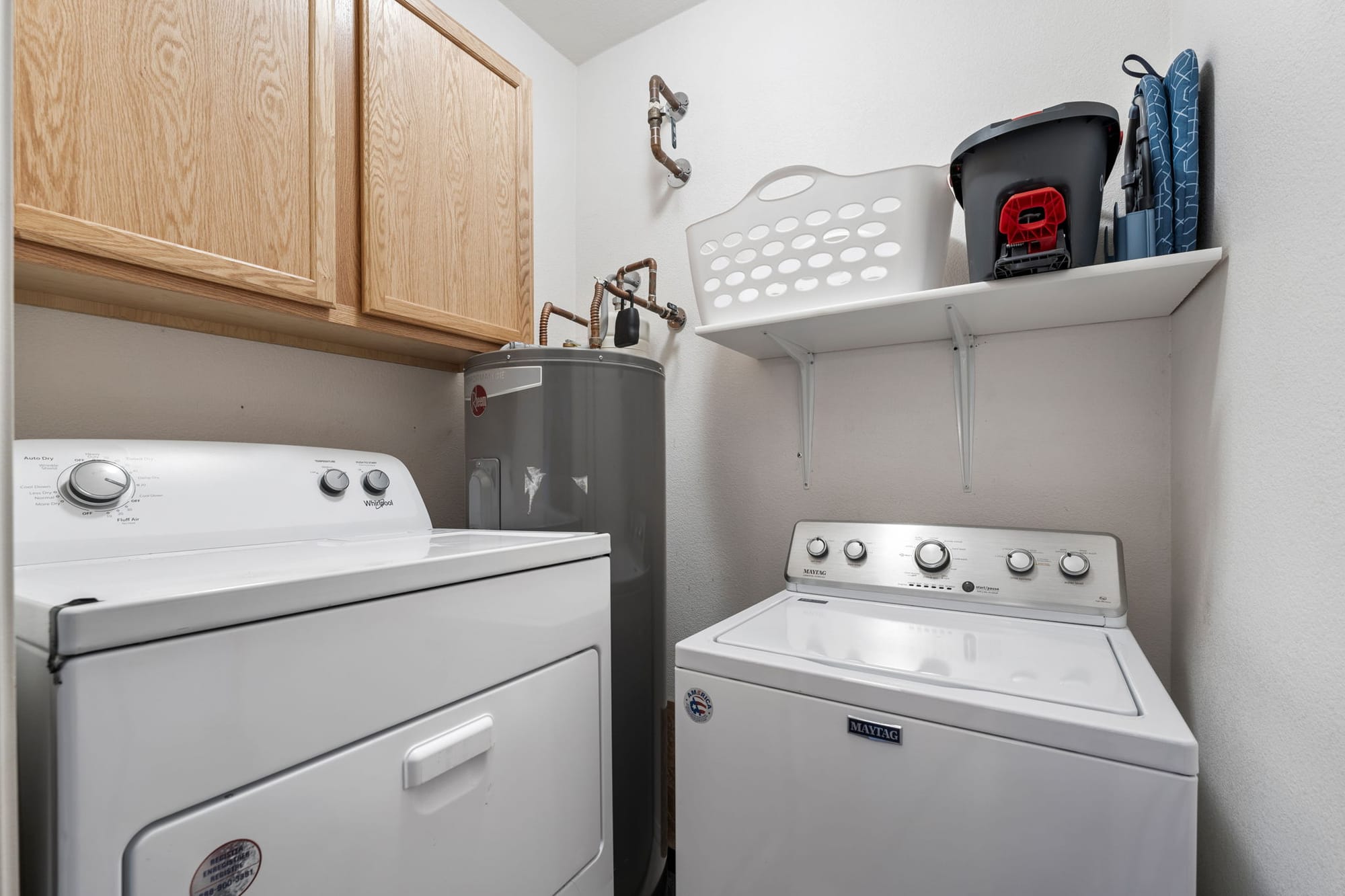 Coyote Cactus Escape