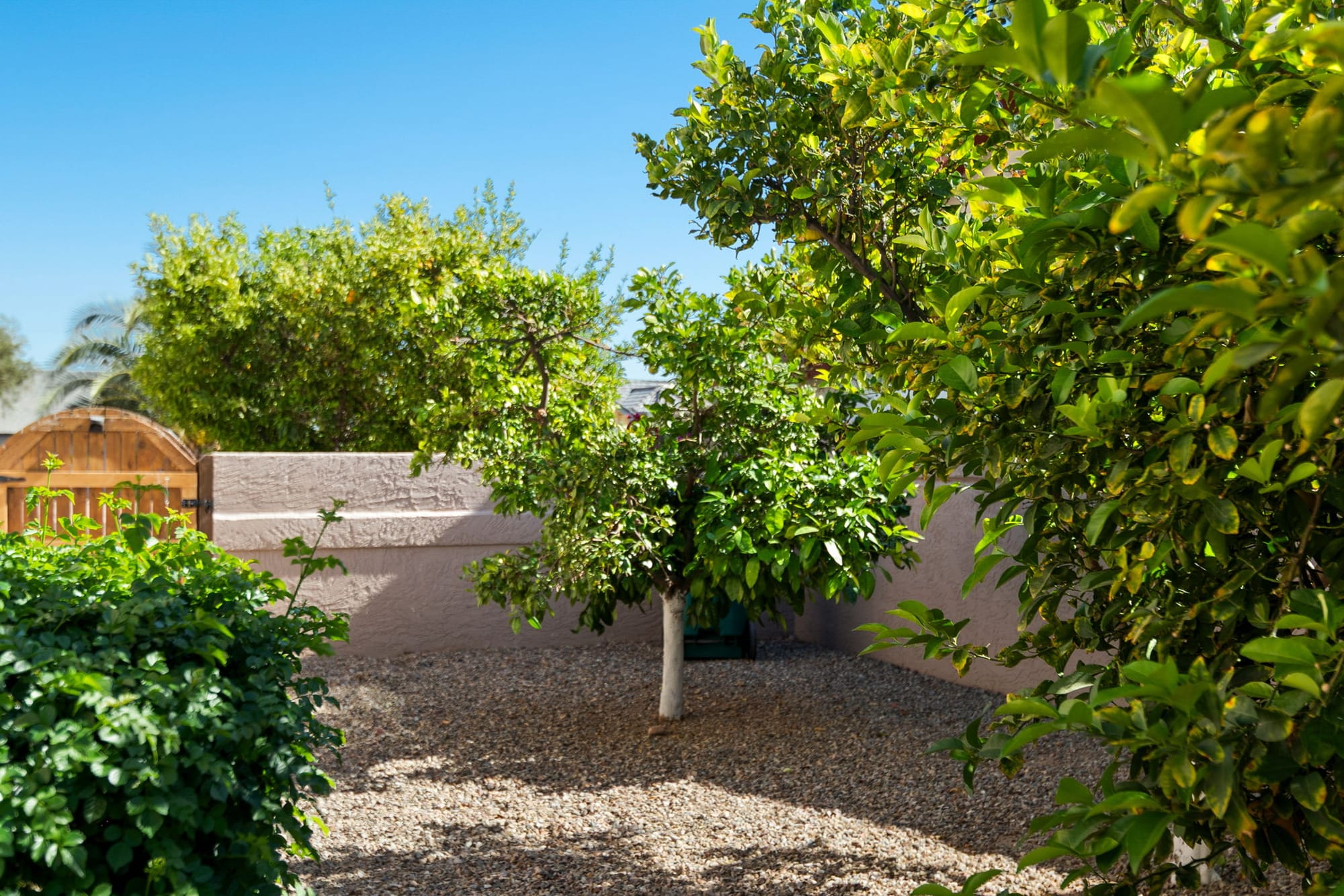Del Monte Casa