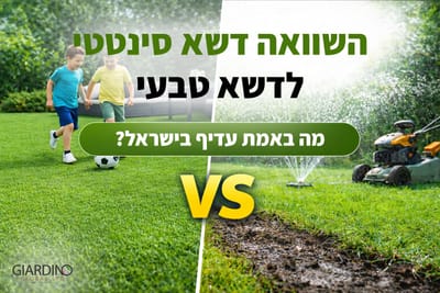 השוואה מלאה: דשא סינטטי מול דשא טבעי – מה באמת עדיף בישראל?