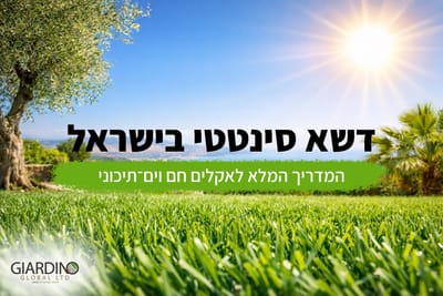 דשא סינטטי בישראל – המדריך המלא לאקלים חם וים־תיכוני