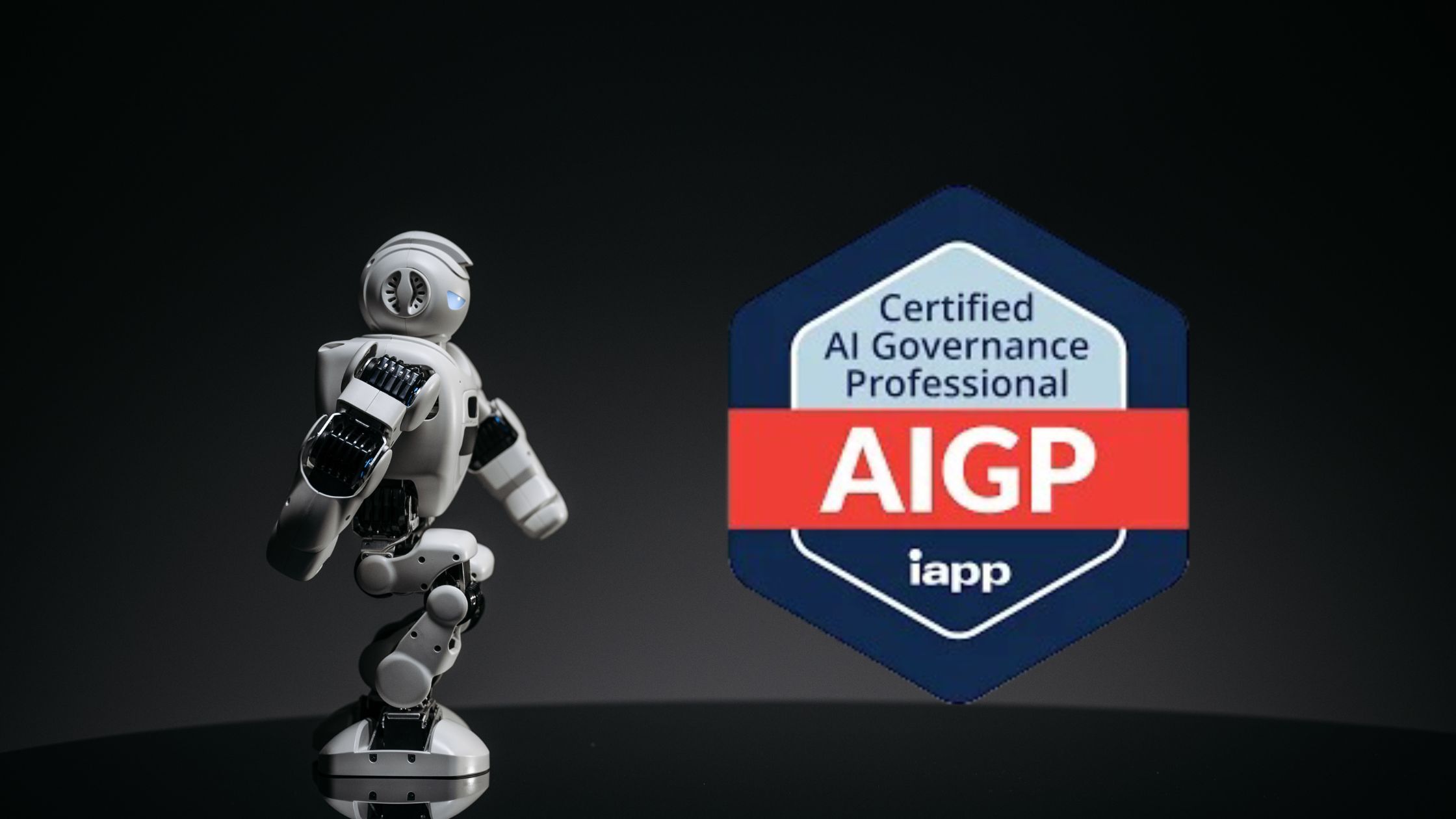 AIGP Certification