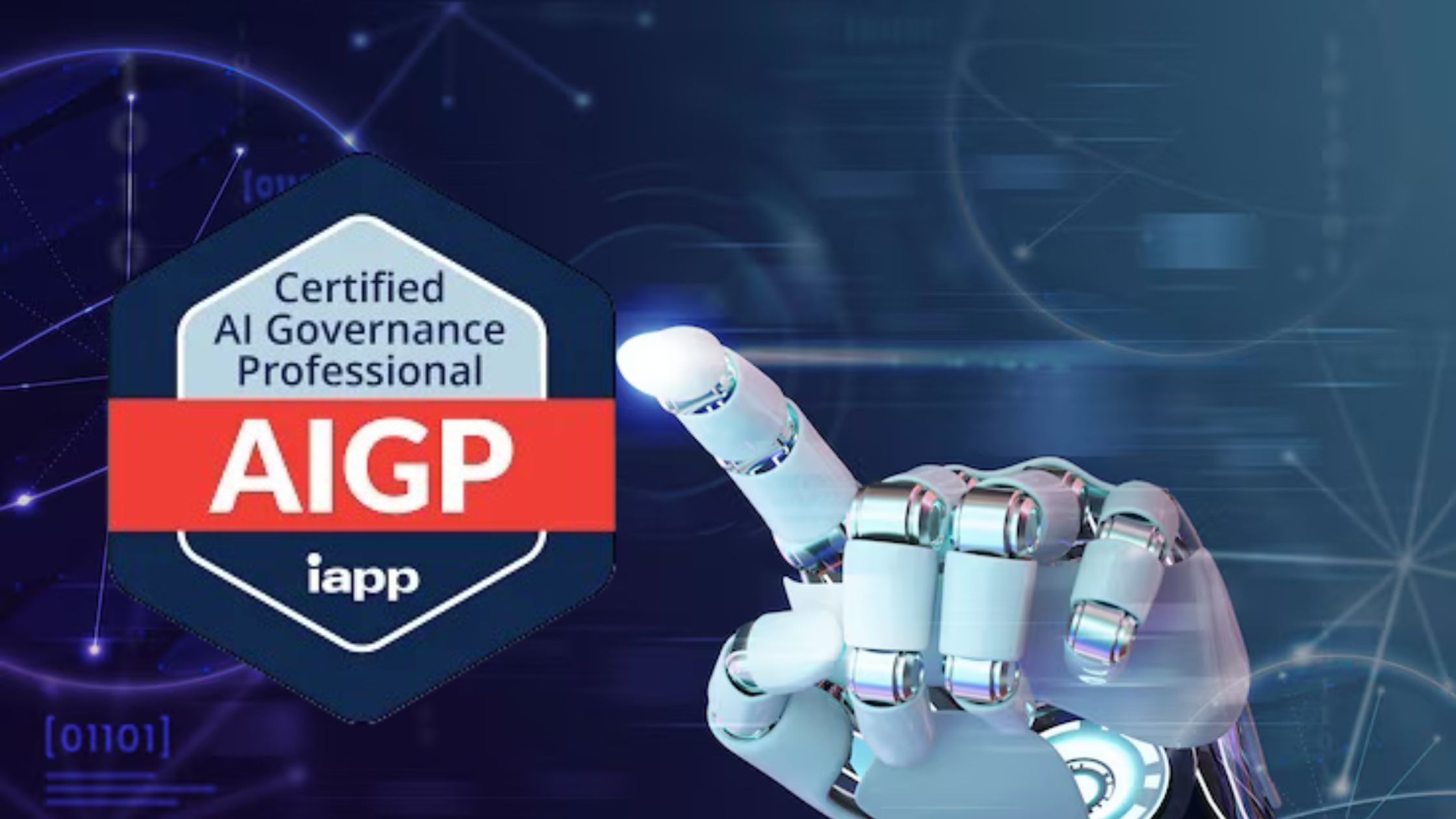  AIGP Certification 